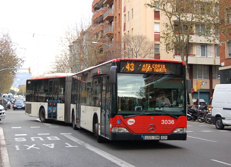 3036.jpg