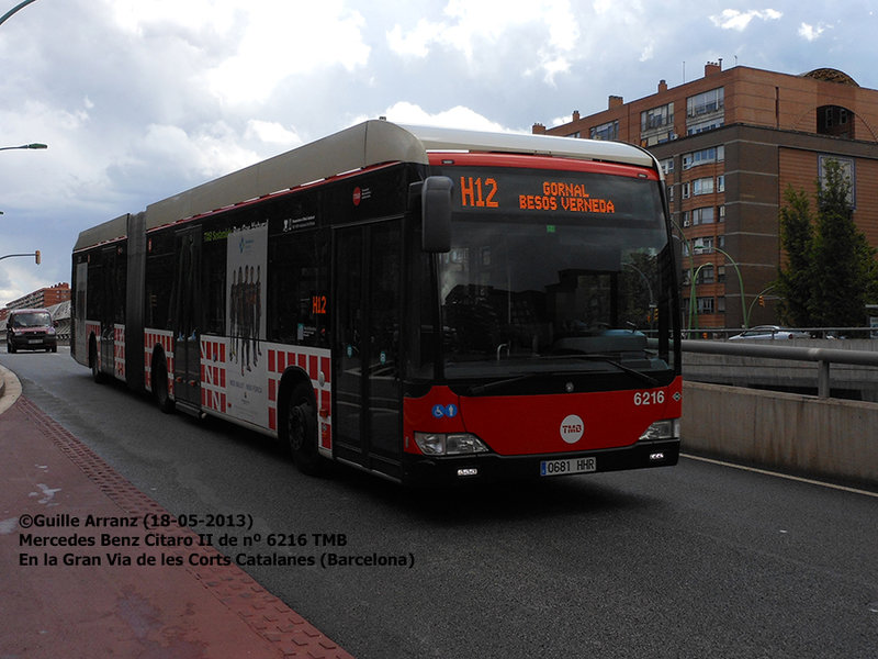 TMB_n_6216.jpg