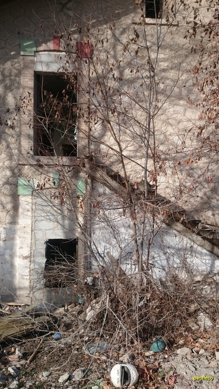 DSC_0256#.jpg
