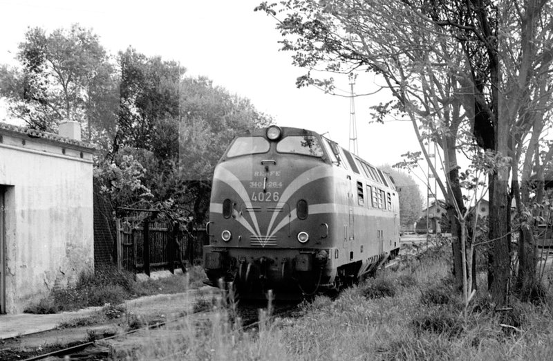 4026.JPG