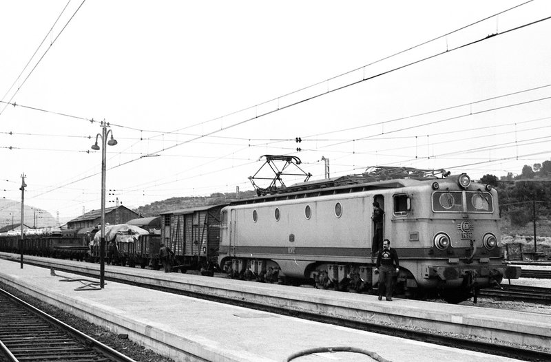 7628.JPG