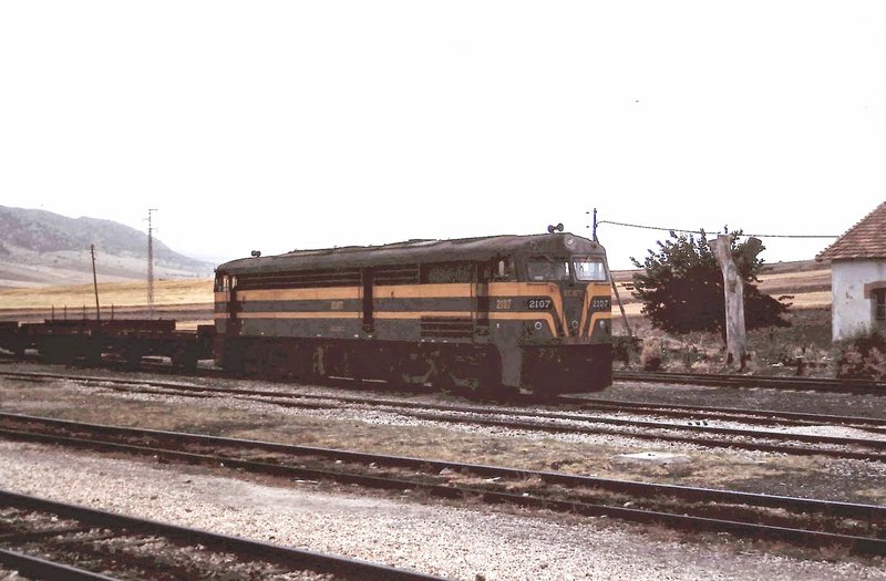 2107.jpg