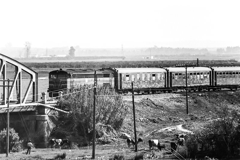 1981-0509.jpg