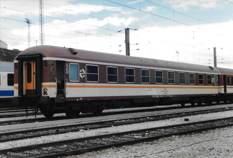 12000 Estrella 1ª franja blanca.jpg