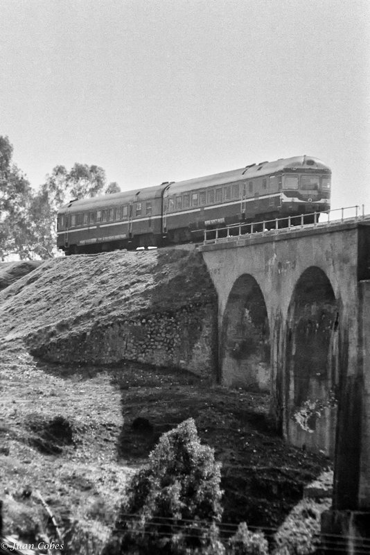 1981-0515.jpg