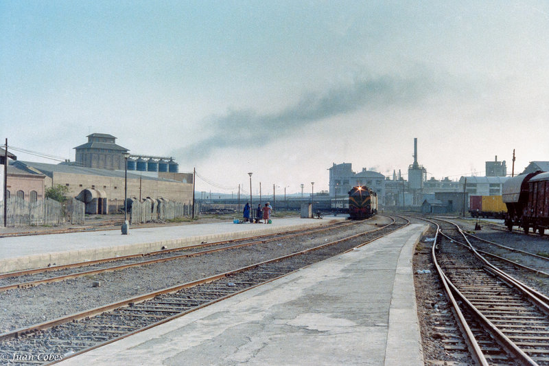 1984-0407.jpg