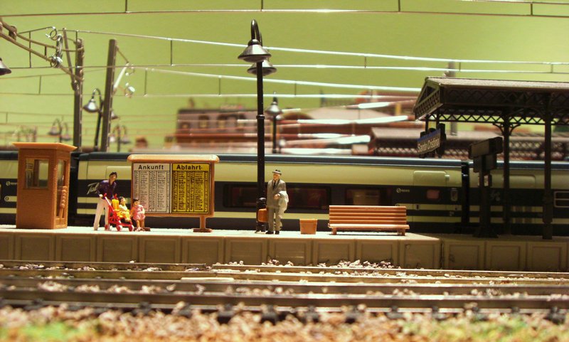 CIMG8310.JPG