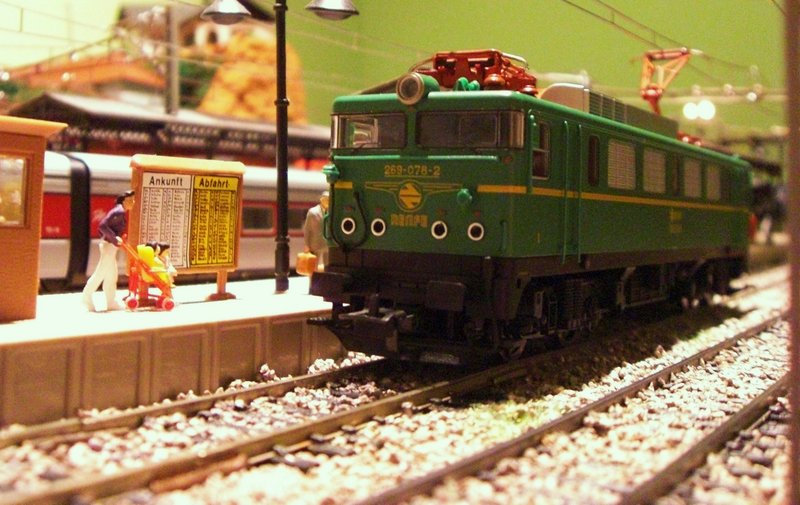 CIMG8307.JPG