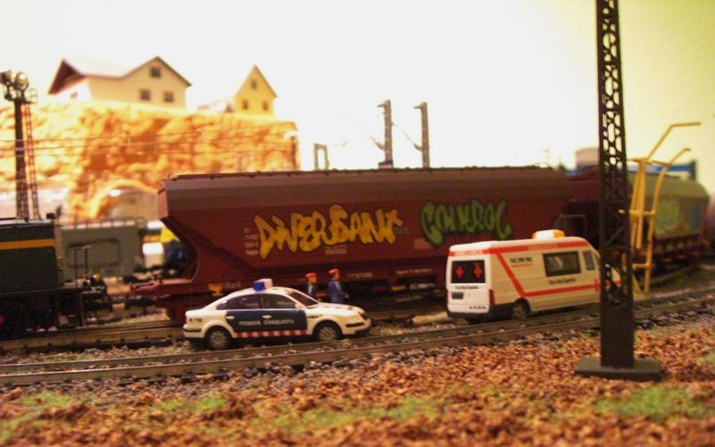 CIMG8305.JPG