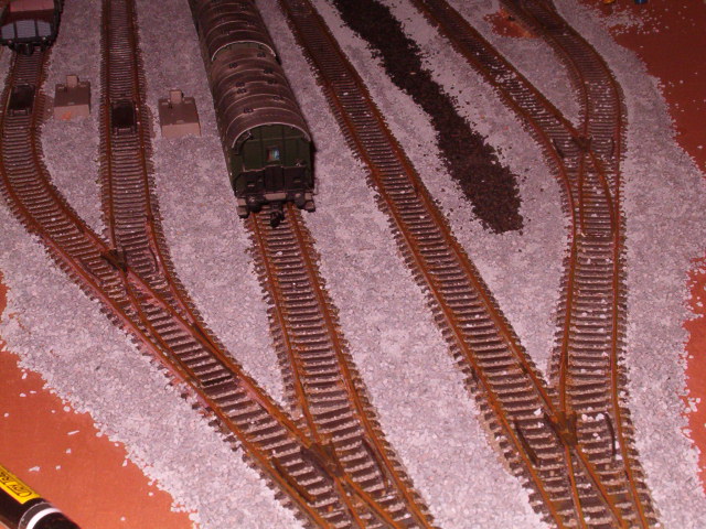 116.jpg