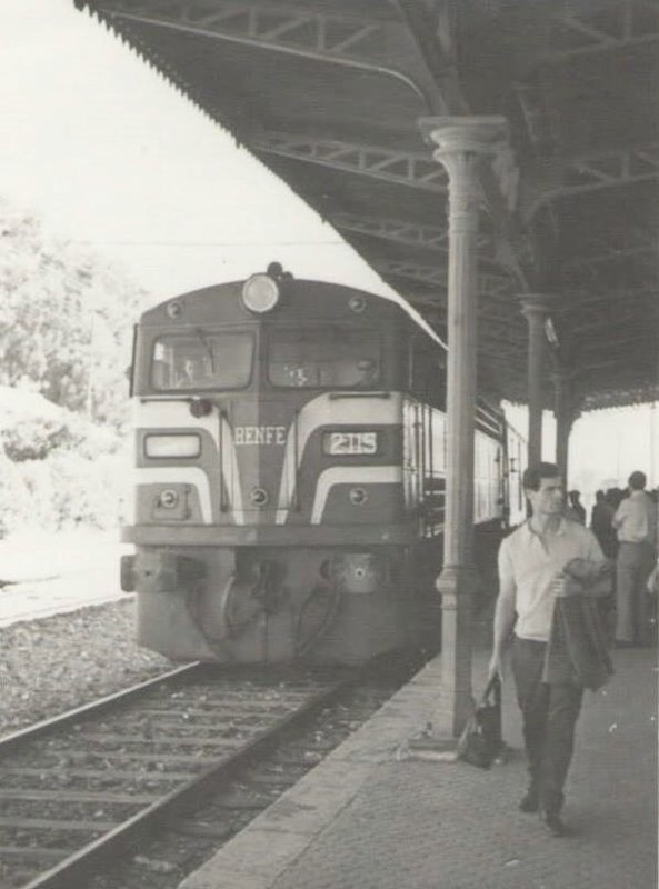 2115.jpg