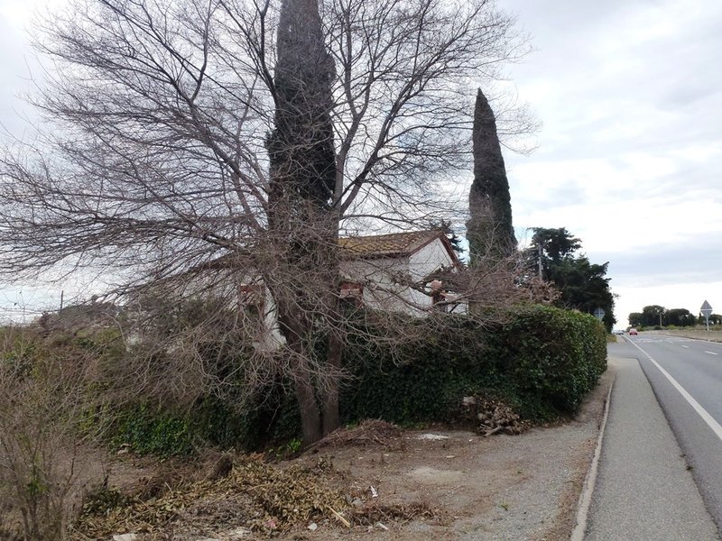 20160226-3.JPG