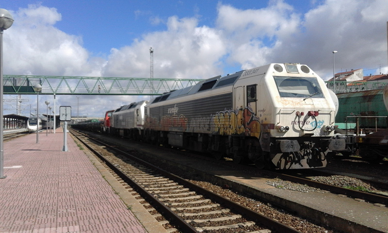 Salamanca311_280216.jpg