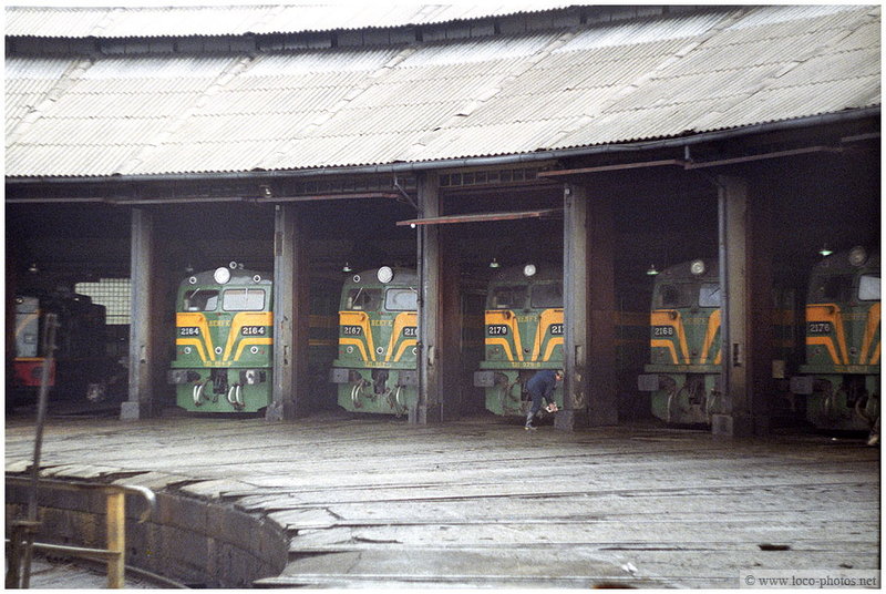2164.jpg