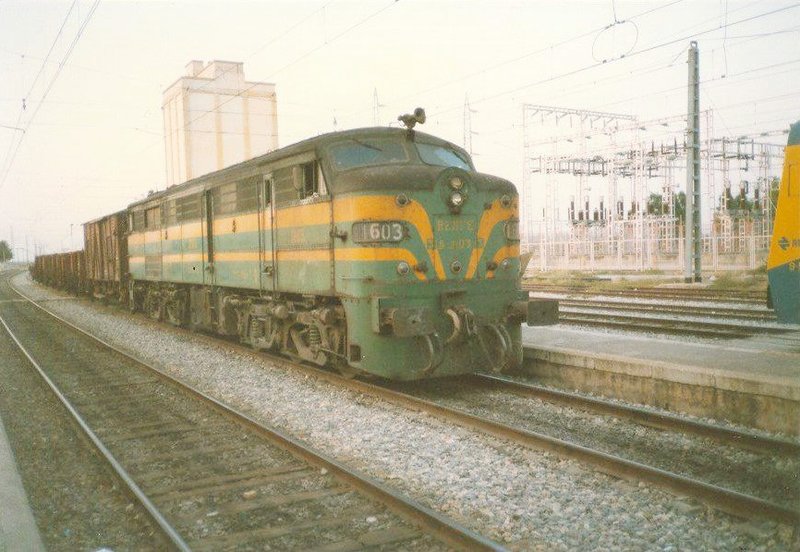 1603.jpg