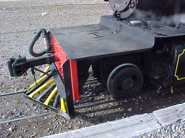 Trochita7.jpg