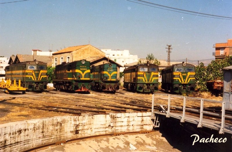 24.jpg