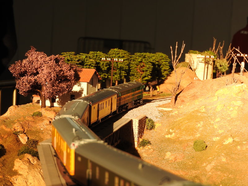 DSCN0615.JPG