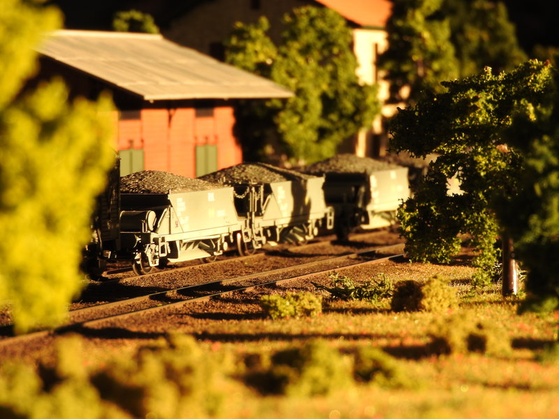 DSCN0636.JPG