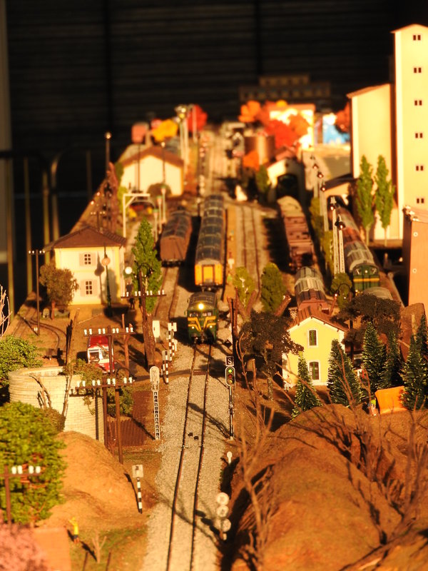 DSCN0640.JPG