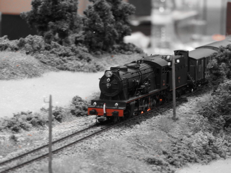 DSCN0747.JPG