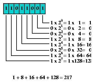 003 ValorByte.jpg