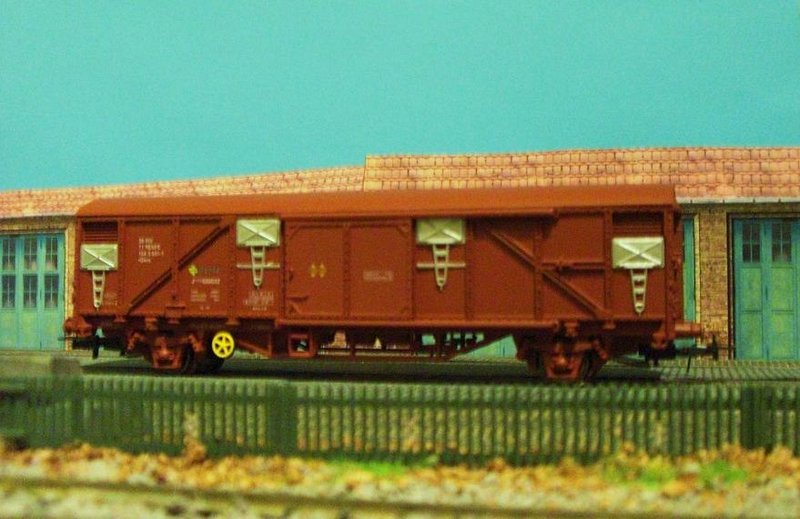 CIMG8352.JPG