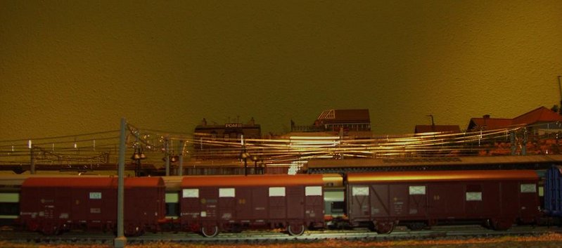 CIMG8354.JPG