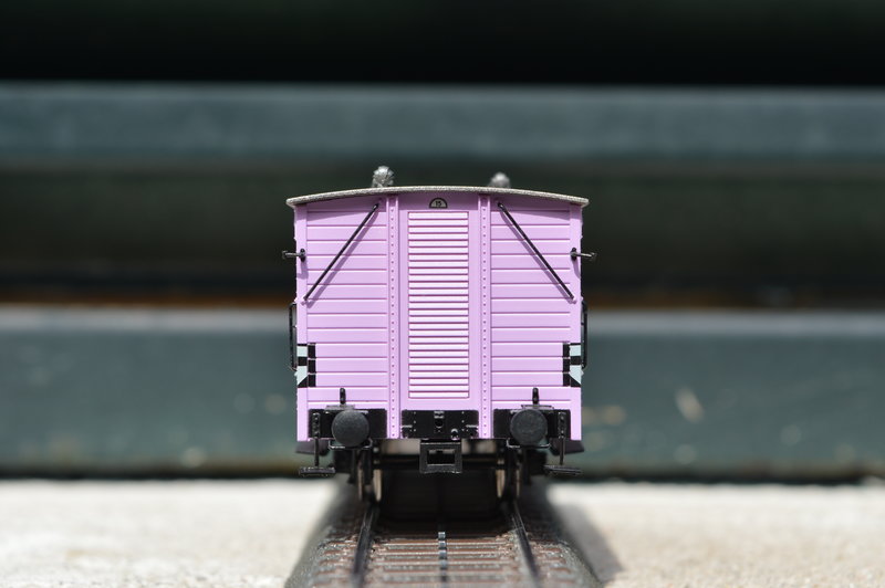 DSC_0797.JPG