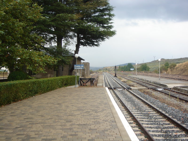 masuno 013.jpg