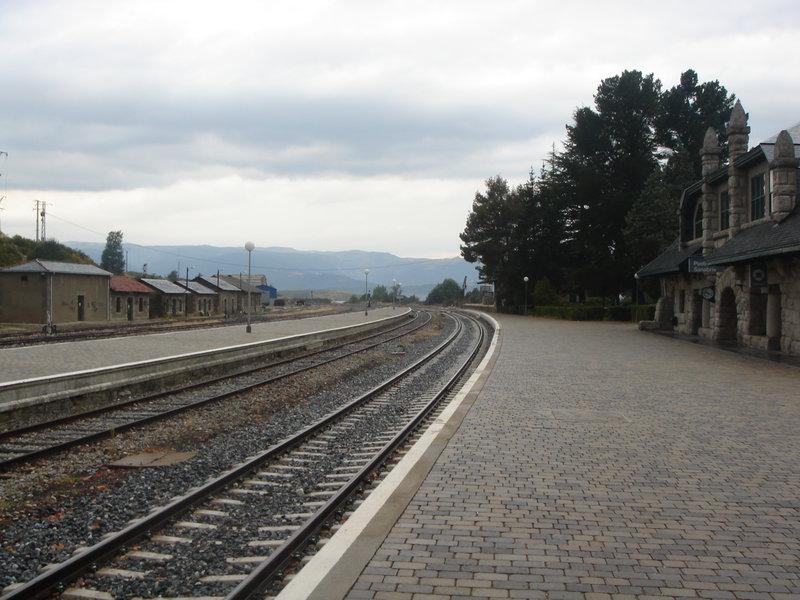 masuno 015.jpg