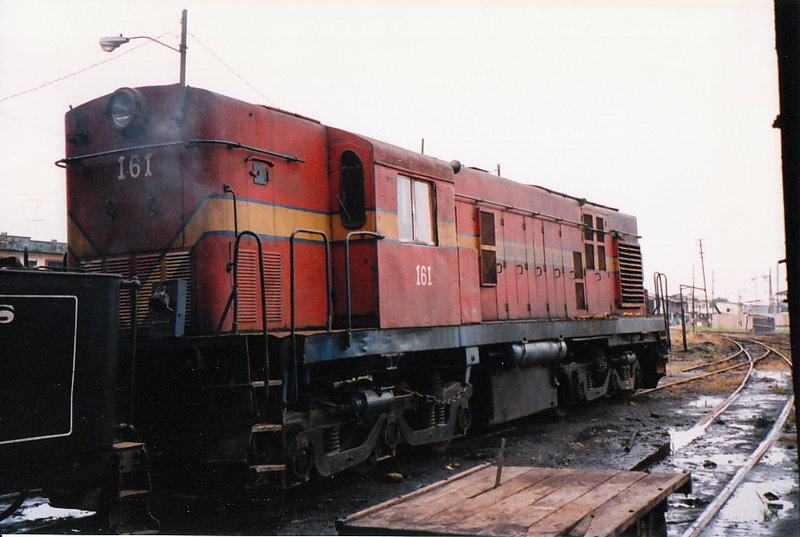 161.jpg
