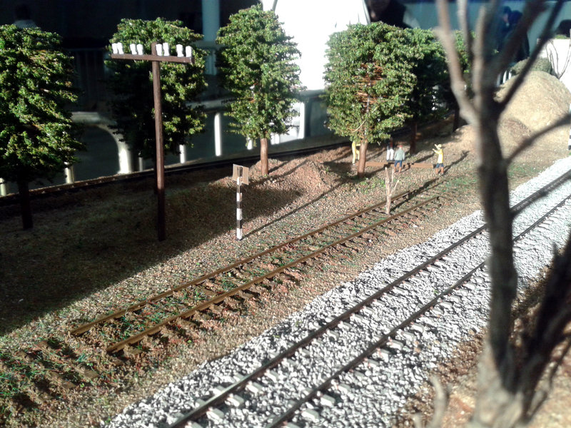 20160312_175313.jpg