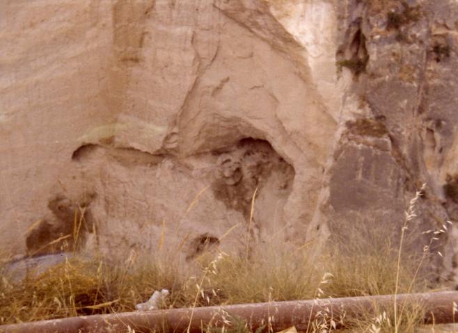 canales002.jpg