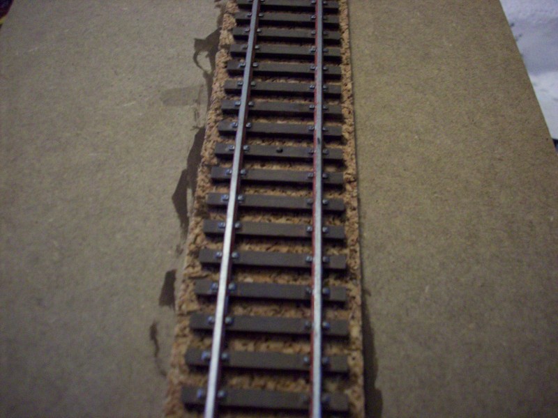 100_0009.JPG