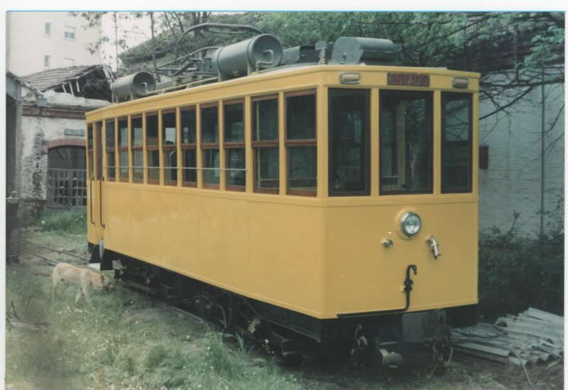tranv13.jpg