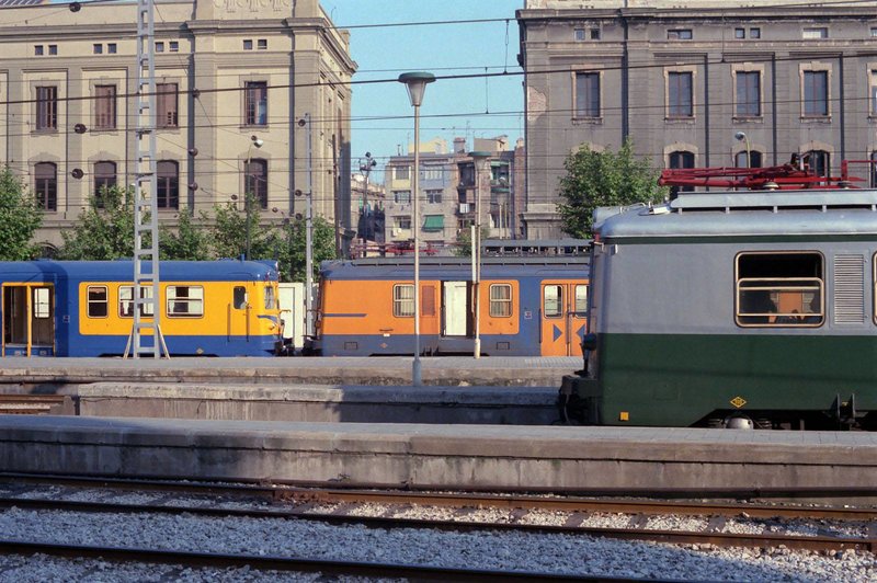 77.jpg