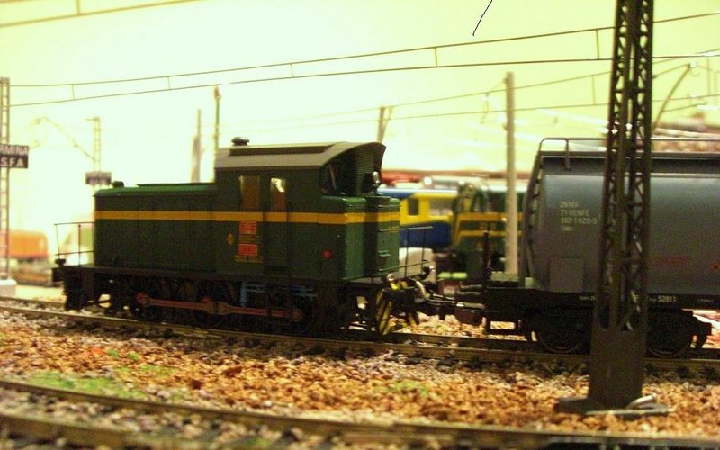 CIMG8394.JPG