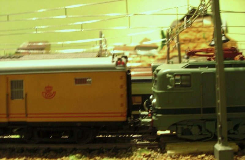 CIMG8395.JPG