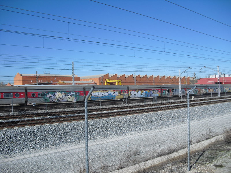 CIMG0481.JPG