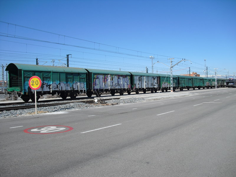 CIMG0489.JPG