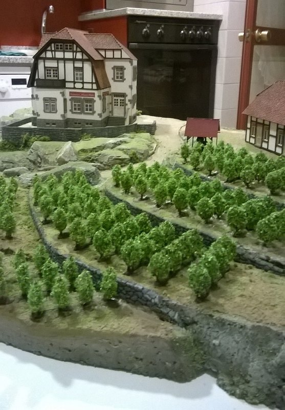 FOTO 6.jpg