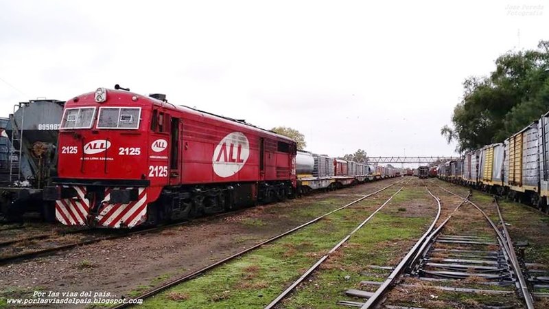 2125.jpg