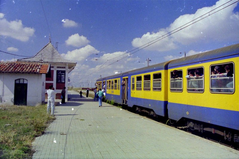 Ciruelos-1.jpg