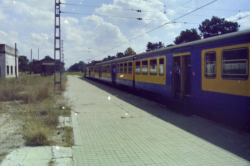 Coca-1.jpg