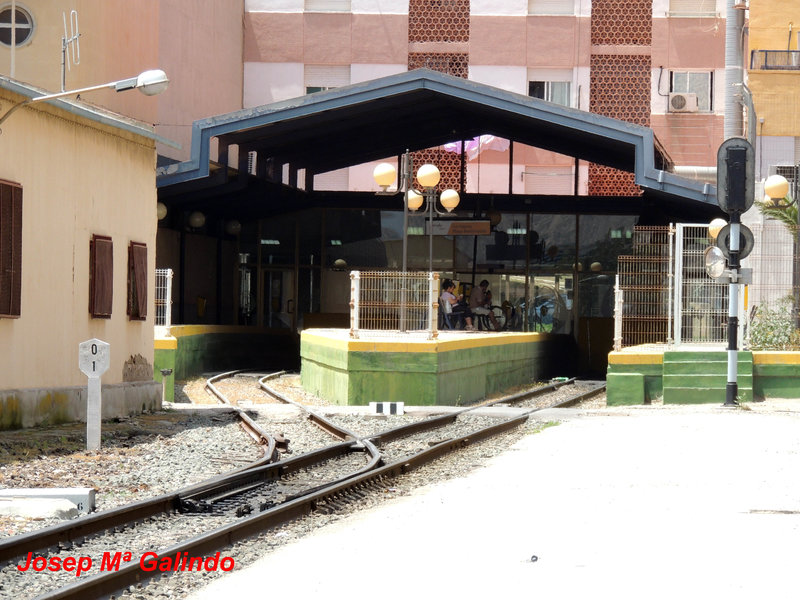 DSCN7126.jpg