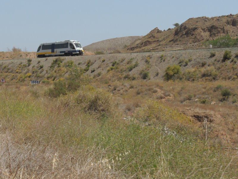 DSCN7232.JPG