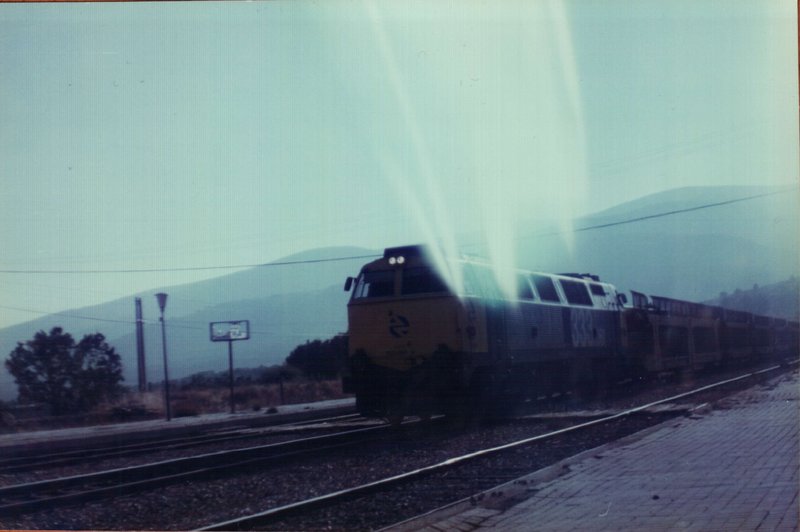 PTDC0002.JPG