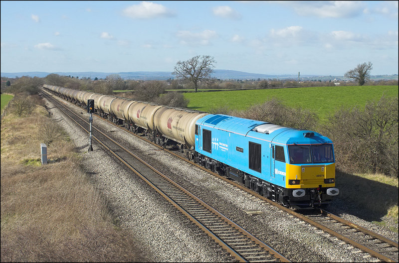 60074(12)_6E41_Badge_040308.jpg
