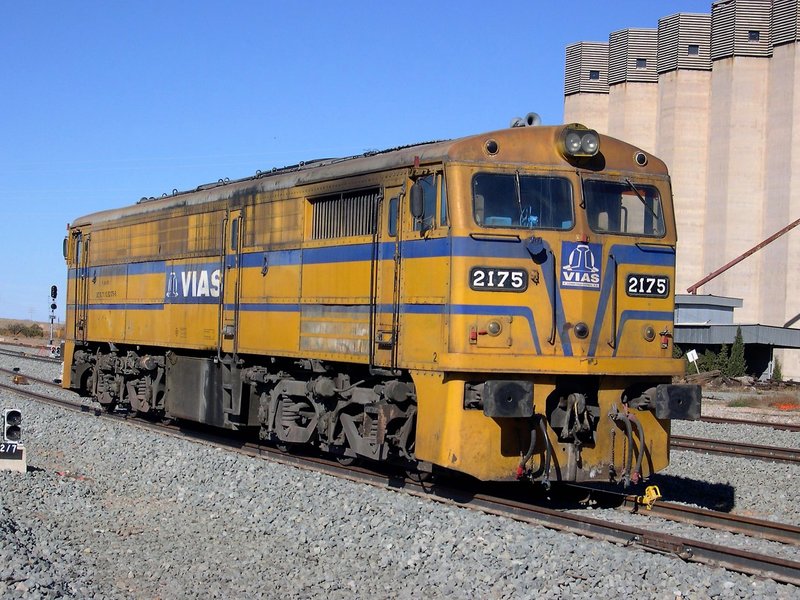 217.jpg
